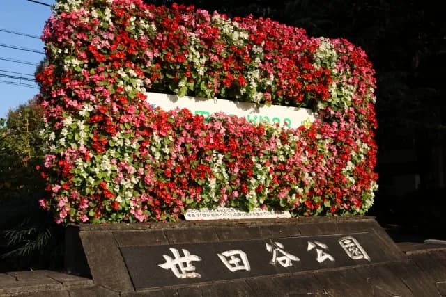 世田谷で葬儀社を探しています。