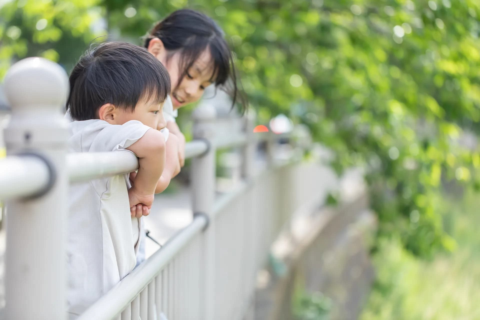 姪が自死しました。弟家族が取り乱しているため、代わりに葬儀社を探しています。